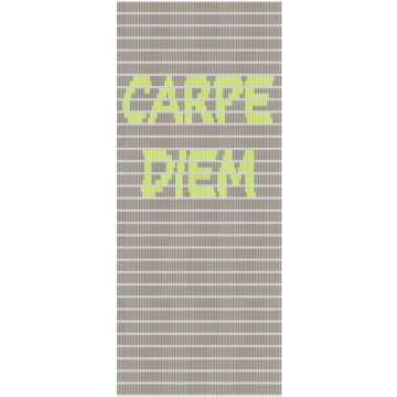 Vliegengordijn Carpe Diem