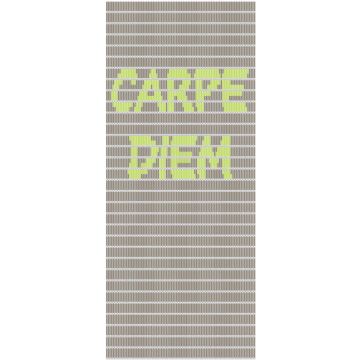 Vliegengordijn Carpe Diem